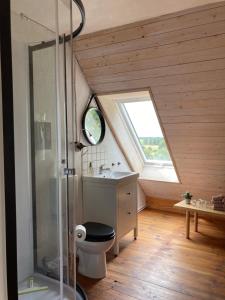 La salle de bains est pourvue de toilettes, d'un lavabo et d'une fenêtre. dans l'établissement Pasterhof Eichhorst, à Friedland