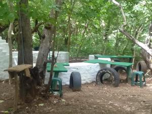 una zona de picnic con una mesa y un árbol en El Pirata Caracol, en La Virgen