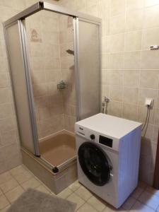 a washing machine in a bathroom with a shower at Einliegerwohnung in Stromberg-Schindeldorf in Stromberg