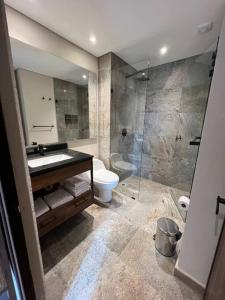 ein Bad mit einem WC, einem Waschbecken und einer Dusche in der Unterkunft R3 - Lujoso Loft en la Candelaria in Bogotá