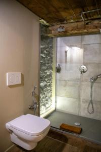 a bathroom with a toilet and a glass shower at bnb Uja in Balme