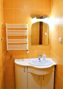 a bathroom with a sink and a mirror at Apartament Teresa Krynica Morska in Krynica Morska