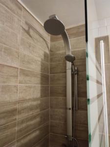 a shower with a shower head in a bathroom at Tambo Norte Lodge in San Pedro de Atacama