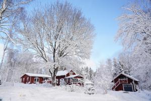 a house covered in snow next to a tree at Höga Backe Gästhus in Asphyttan