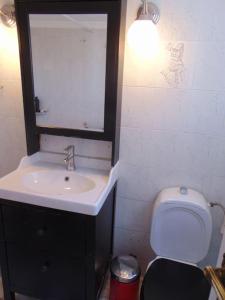 A bathroom at Lovingly restored apartment Galatsi