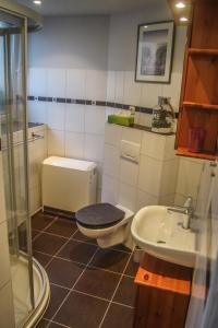 ein Bad mit einem WC und einem Waschbecken in der Unterkunft Pension Muldental Großbothen Wohnung 1 in Grimma