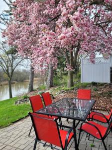 a table with red chairs and a tree with pink flowers at dock, game room, bar and private river view patio in Toledo