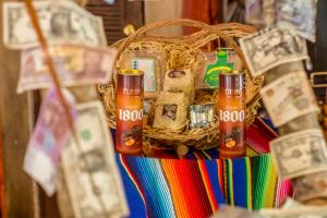 Fotografie z fotogalerie ubytování Hotel Tequila Cancun v destinaci Cancún