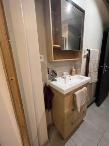 La salle de bains est pourvue d'un lavabo et d'un miroir. dans l'établissement Studio Le Havre de Gentilly Nancy Laxou Zenith, à Nancy