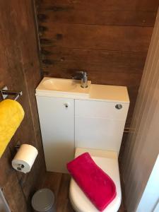 W łazience znajduje się toaleta z czerwoną poduszką. w obiekcie Luxury cosy carriage with electric private hot tub w mieście Hereford