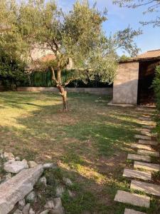 Ogród w obiekcie Le clos Roby maison avec piscine proche du centre historique