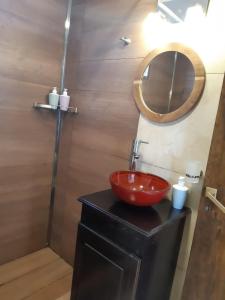 a bathroom with a red sink and a shower at Casas de Cafayate in Cafayate