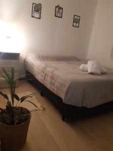 um quarto com uma cama e um vaso de plantas em Casas de Cafayate em Cafayate
