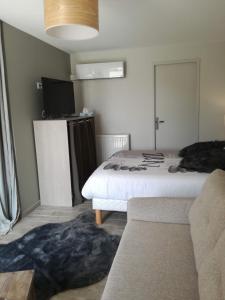 a room with a bed and a tv and a couch at Naphéo in Tonnay-Charente