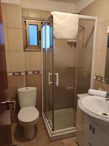 VV LA ISLA في لا ريستينجا: حمام مع دش ومرحاض ومغسلة