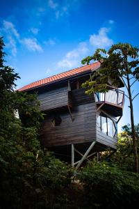 une maison en bois avec un toit rouge et un arbre dans l'établissement Casa Tucan Glamping, à Turrialba