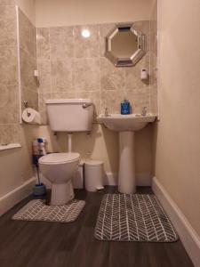 インバネスにあるCozy Central Apartmentのバスルーム(トイレ、洗面台付)