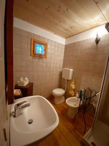 y baño con lavabo y aseo. en Baita Borgo Incantato, en Morbegno