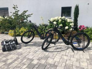 two bikes parked in front of a building with flowers at Modern Apartment near Forest in Heinrichskirchen in Heinrichskirchen