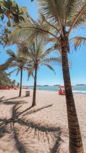 três palmeiras numa praia de areia perto do oceano em Edifício Ferreira - Apartamentos temporadas em Piúma