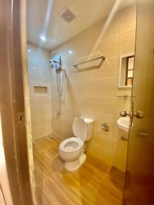 a bathroom with a toilet and a shower at Road Garden Villa in General Luna