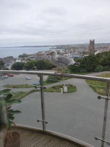 a bird sitting on the railing of a balcony at Newquay Horizons in Newquay +44 photos
