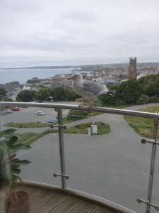 a bird sitting on the railing of a balcony at Newquay Horizons in Newquay