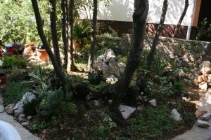 Zahrada ubytování Apartment Mandre 6405b
