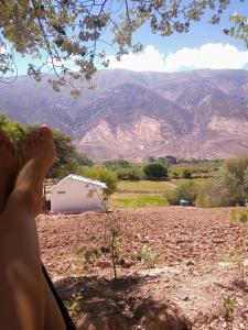 une personne avec les pieds dans un arbre qui regarde les montagnes dans l'établissement Dormir con llamas, à Maimará