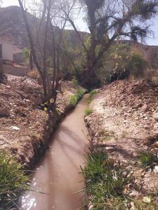 a small stream of water in a field at Dormir con llamas in Maimará