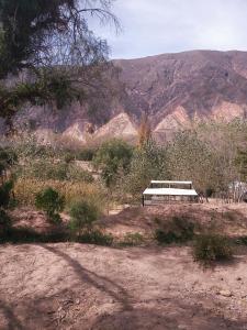um banco num campo com montanhas ao fundo em Dormir con llamas em Maimará