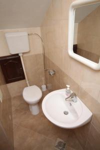 y baño con lavabo, aseo y espejo. en Apartments with a swimming pool Motovun - Bataji, Central Istria - Sredisnja Istra - 7069, en Motovun
