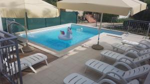 dos cisnes en una piscina con sillas y sombrilla en Holiday house with a swimming pool Rakotule, Central Istria - Sredisnja Istra - 7071, en Rakotule