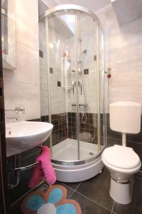 a bathroom with a shower and a toilet and a sink at Apartments with WiFi Cavtat, Dubrovnik - 9063 in Cavtat