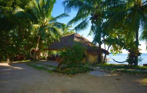 een kleine hut op het strand met palmbomen bij Concepcion Divers Lodge in Busuanga
