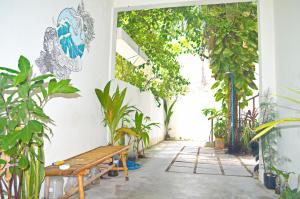 a patio with a wooden bench in a room with plants at Keyla Inn in Thulusdhoo