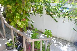 a white fence with plants and a wooden chair at Keyla Inn in Thulusdhoo