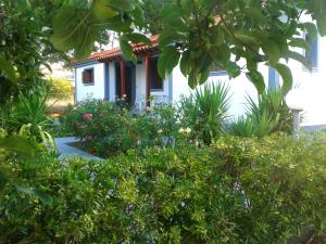 a small white house with plants in front of it at Vicky Studios and Apartments in Skala Kallonis