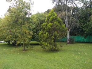 een boom in het midden van een tuin met bomen bij Quinta - Casa de Campo in Merlo