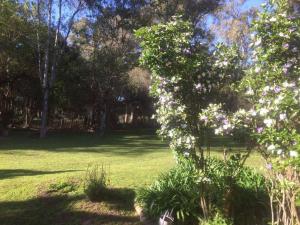 ein Grasfeld mit Bäumen und Blumen in der Unterkunft Quinta - Casa de Campo in Merlo