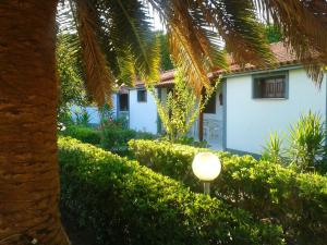 a white house with a palm tree and a street light at Vicky Studios and Apartments in Skala Kallonis