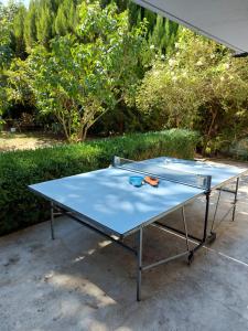 - une table de ping-pong bleue avec deux verres dans l'établissement Jacuzzi avec vue sur la rivière l'Yerres, à Yerres