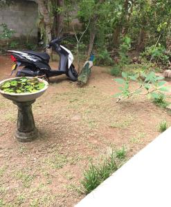 Un jardín fuera de Cinnamon Heaven