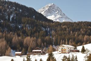 a snow covered mountain with a house in the foreground at Tiefhof in Nauders +52 photos