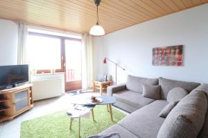 a living room with a couch and a tv at Bauernhof FeWo IV Waldblick in Schwienkuhl an der Ostsee in Schwienkuhl