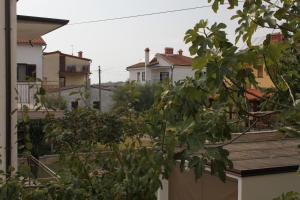 Zahrada ubytování Apartments with a parking space Novigrad - 7108