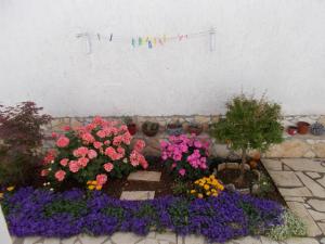 Vonkajšia záhrada v ubytovaní Apartments with a parking space Porec - 7154