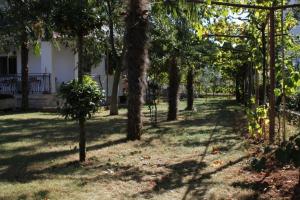 Fotografia z galérie ubytovania Apartments with a parking space Rovinj - 7195 v Rovinj