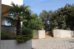 Fotografie z fotogalerie ubytování Apartments with a parking space Vrsar, Porec - 7129 v destinaci Vrsar