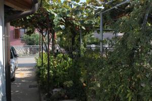 Vonkajšia záhrada v ubytovaní Studio Umag 7126a